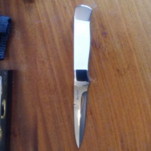 Don Lozier Ivory Fighter